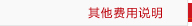 达喀尔汽租其他费用说明